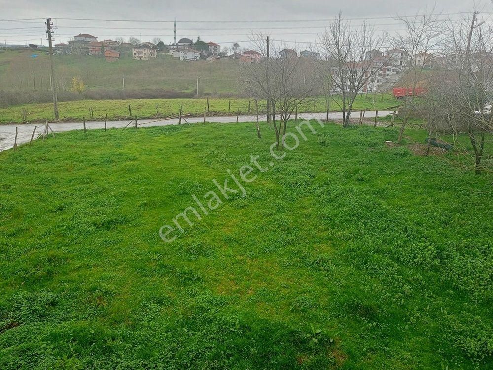 Ferizli Kemalpaşa Satılık Konut İmarlı Sakarya Ferizli Merkezde Acil Satılık 446 M2 İmarlı Arsa