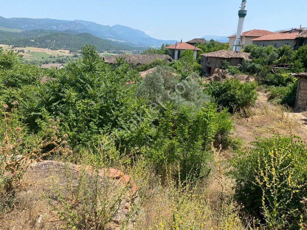 Bilecik Merkez Selbükü Köyü Satılık Konut İmarlı Köy İçi %40 İmarlı Kelepir Arsa