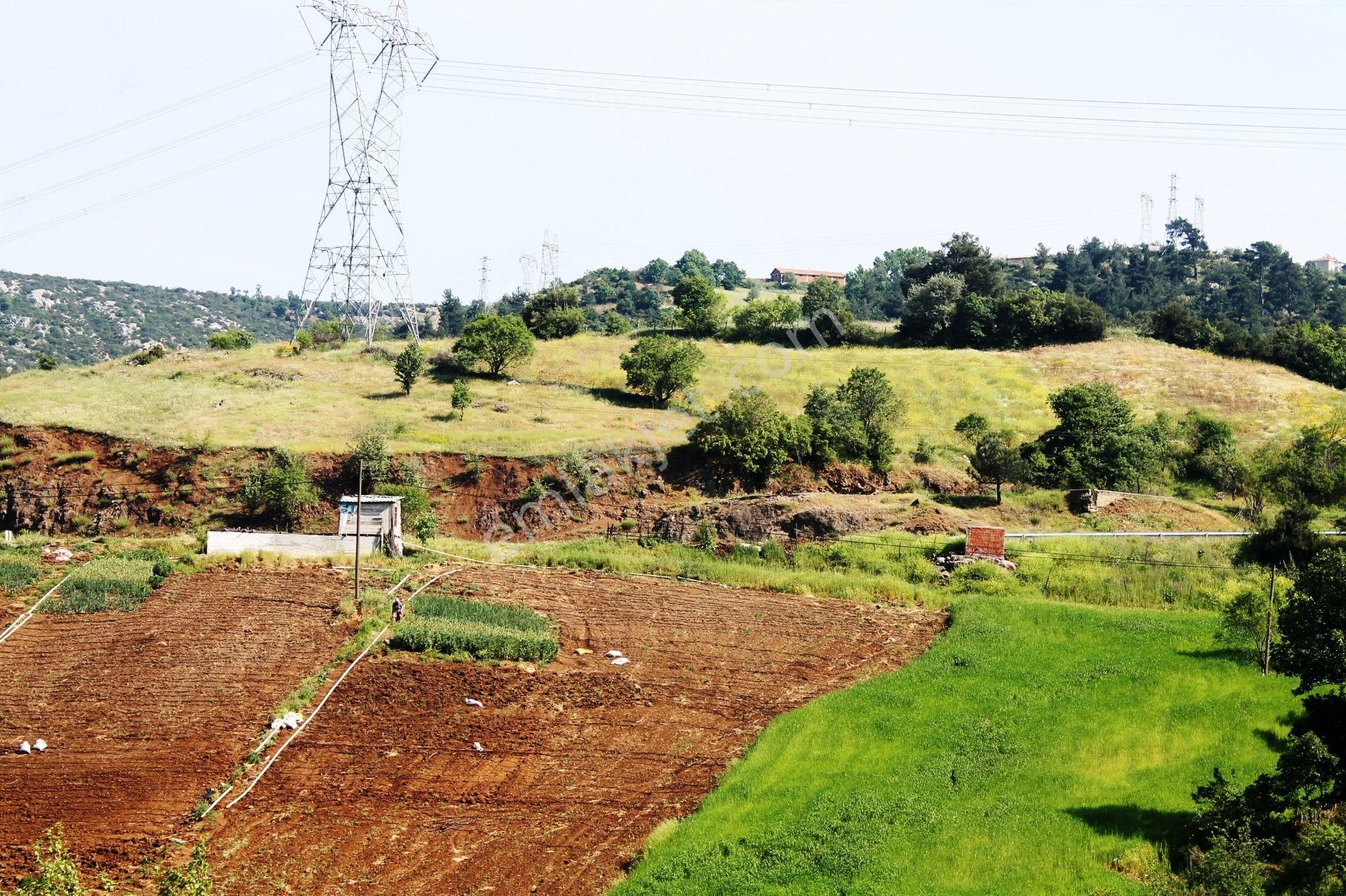 Yenice Çal Köyü Satılık Tarla Çalköy Yenice'de Eşsiz Doğa Ve Göl Manzaralı 7577m2 Satılık Arsa