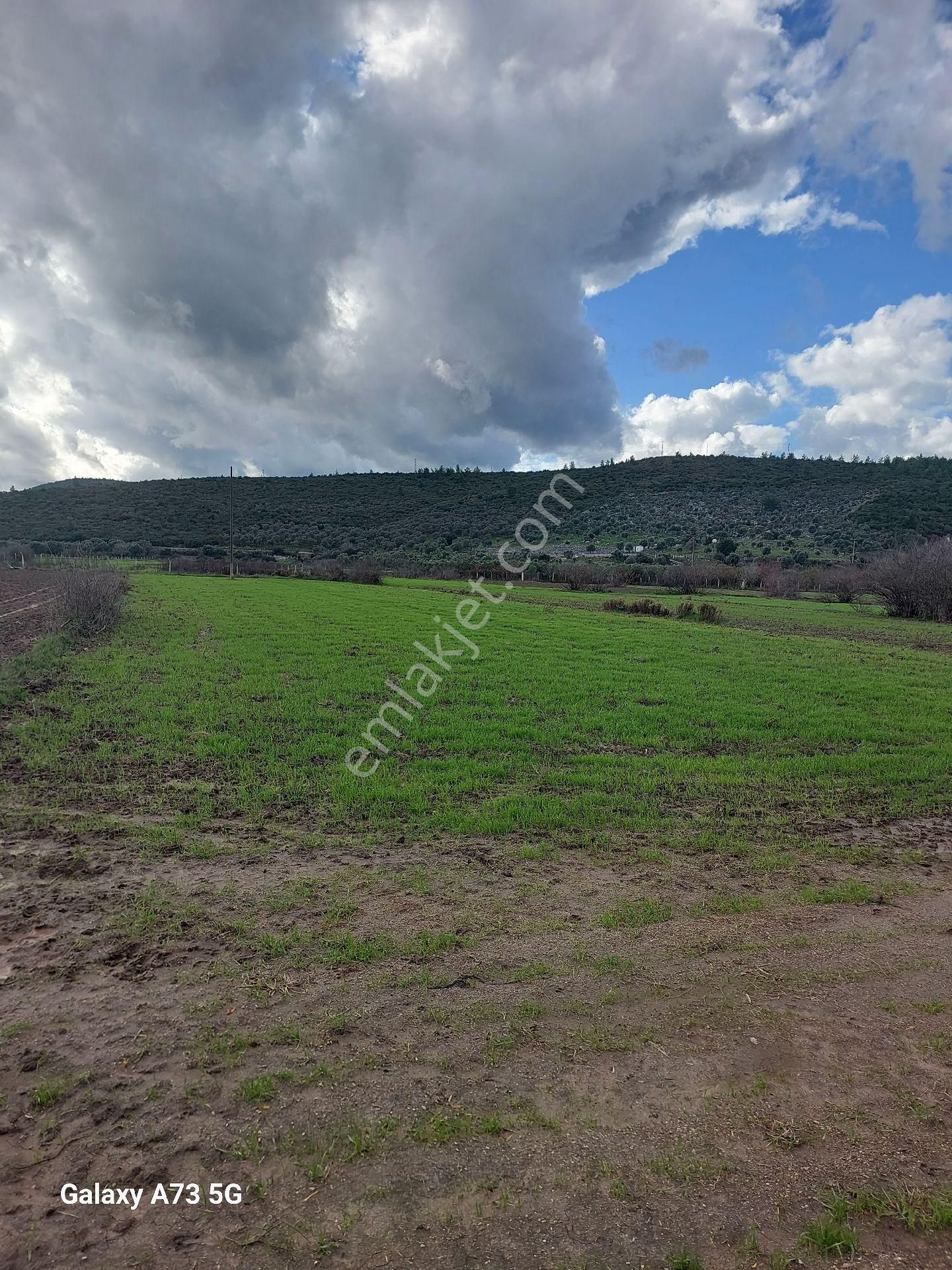 Bodrum Mumcularda Satılık Tarla - Görsel 2
