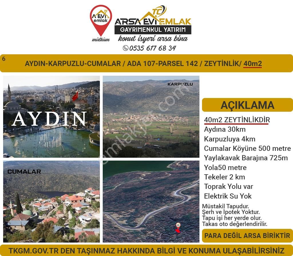 Aydın Karpuzlu Satılık Zeytinlik Aydın Karpuzlu Cumalar Satılık 40m2 Zeytinlik