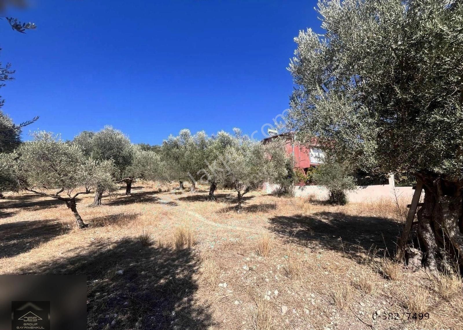 Urla Özbek Satılık Konut İmarlı Özbek Köyü İmarlı(köyiçi) Arsa