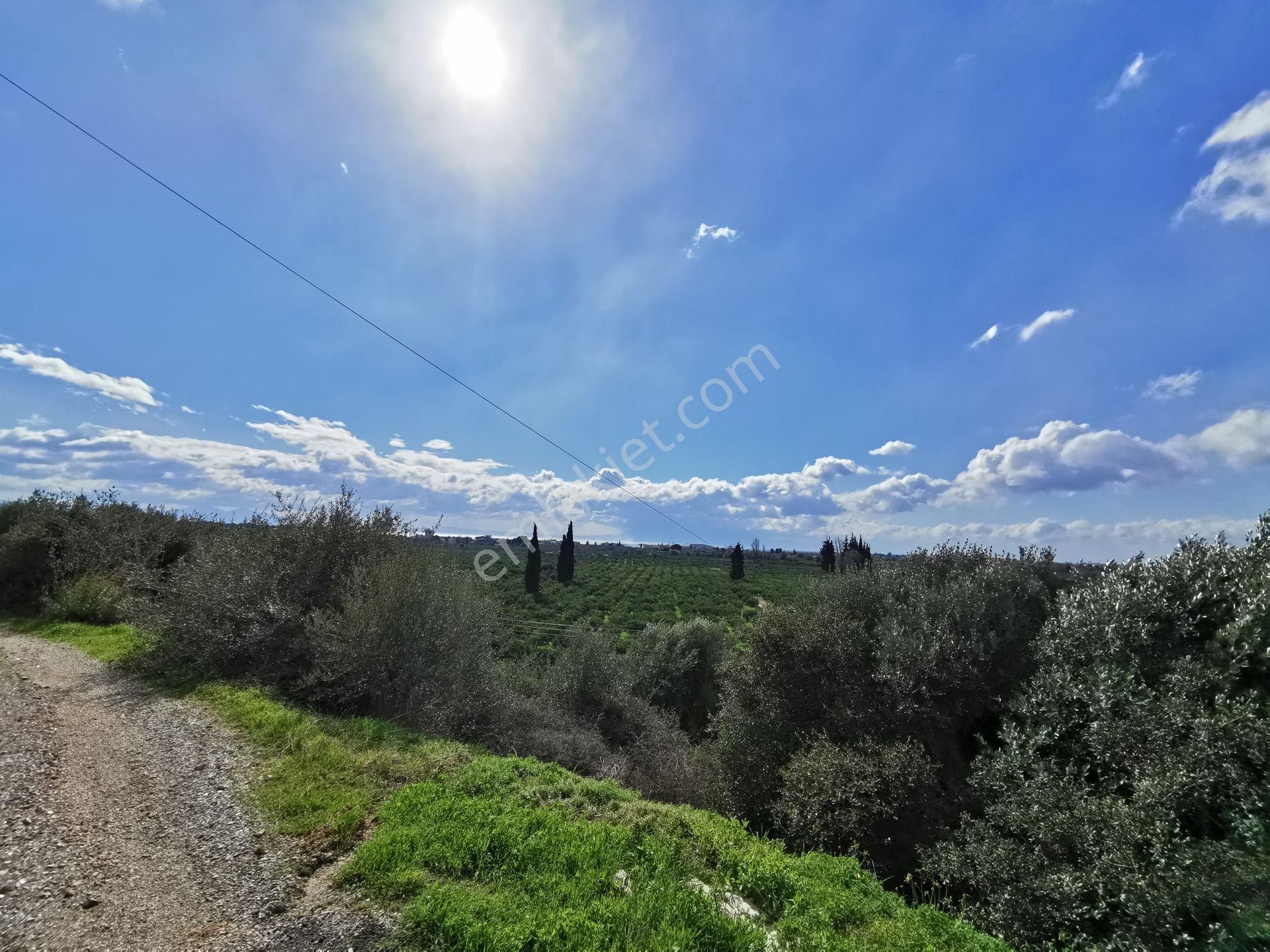 Menderes Gümüldür İnönü Satılık Bağ & Bahçe Rota Emlak'tan Gümüldürde Panoramik Manzaralı 269 M2 Arsa