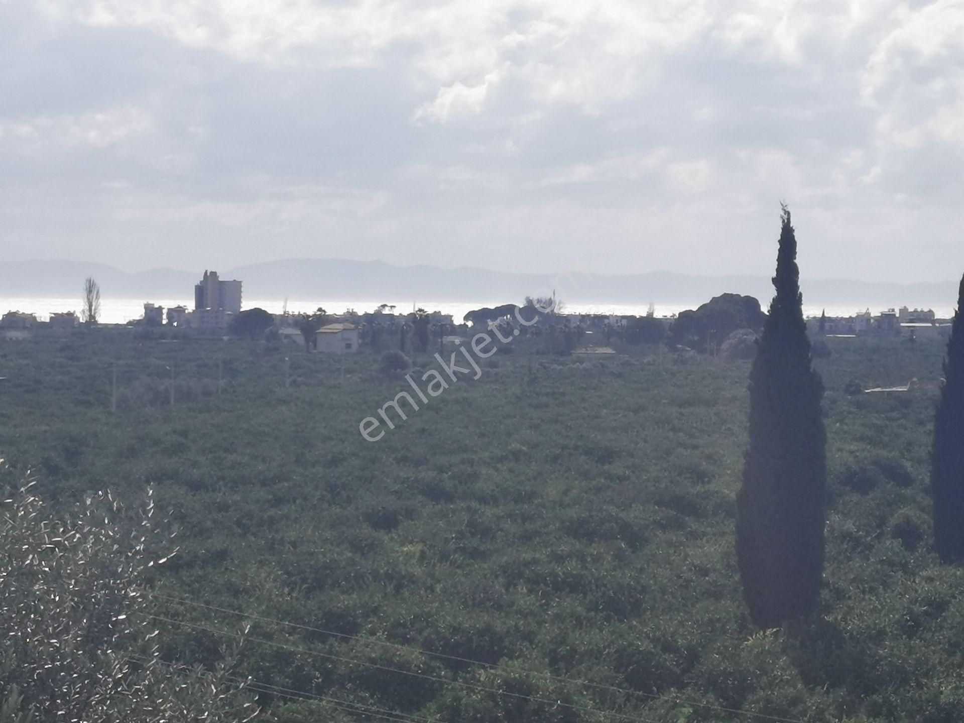 Rota Emlak'tan Gümüldürde Panoramik Manzaralı 269 M2 Arsa - Görsel 3