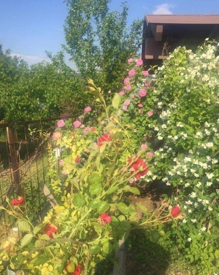 Odunpazarı Sarısungur Satılık Konut İmarlı Sarısungur Mahallesinde Villalar Bölgesinde Satılık İmarlı Arsa