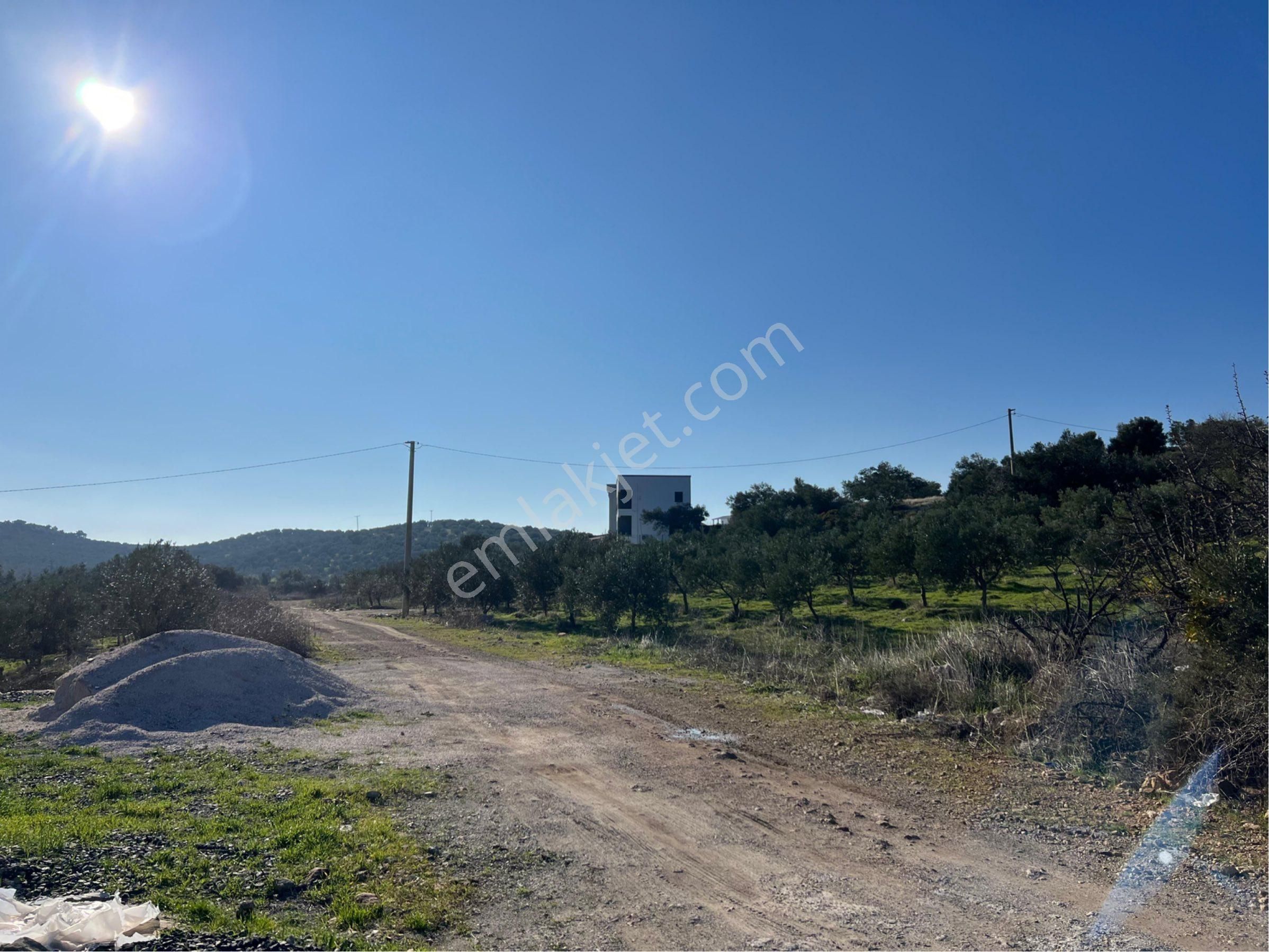 İzmir Aliağa Satılık Konut İmarlı Aliağa Şakranda Villa İmarlı Arsa