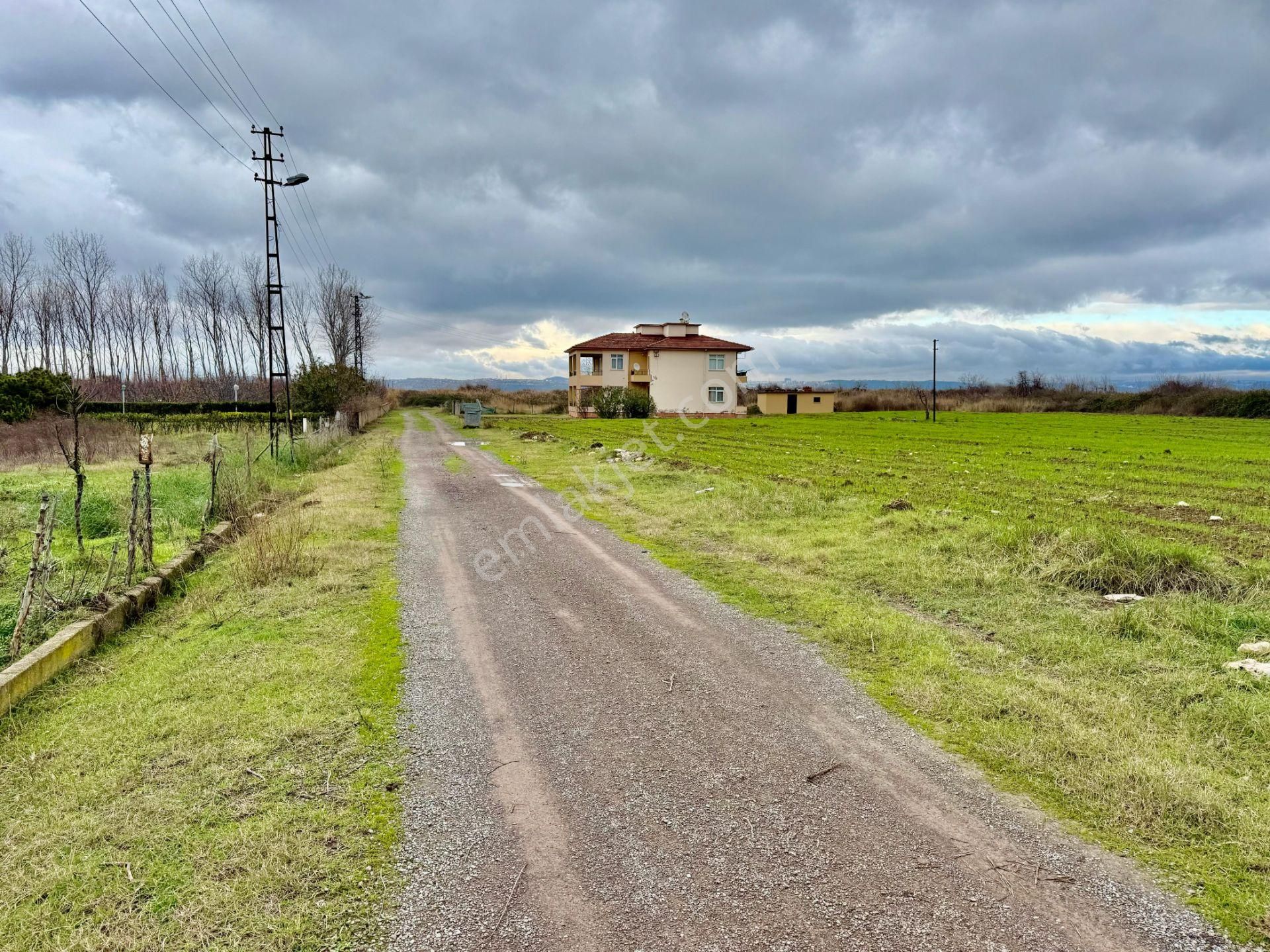 Çiftlikköy Taşköprü Bld. (Taşköprü Yeni) Satılık Sanayi İmarlı Yalova Taşköprü Sanayi İmarlı Satılık Arsa