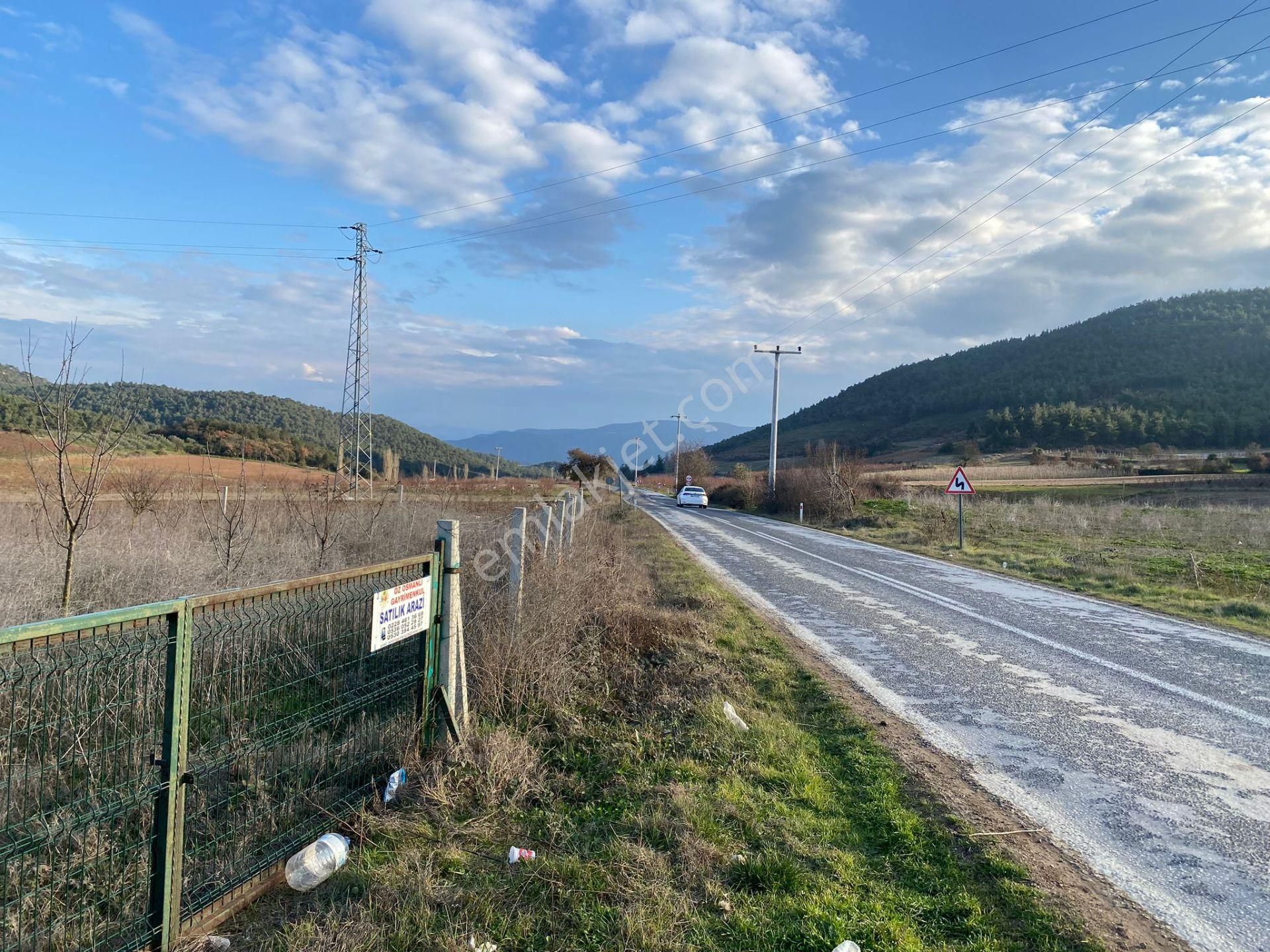 Osmaneli Düzmeşe Köyü Satılık Tarla İznik Yoluna Cepheli 6 Dönüm Çiftlik İmarlı Kaçırılmayacak Arazi