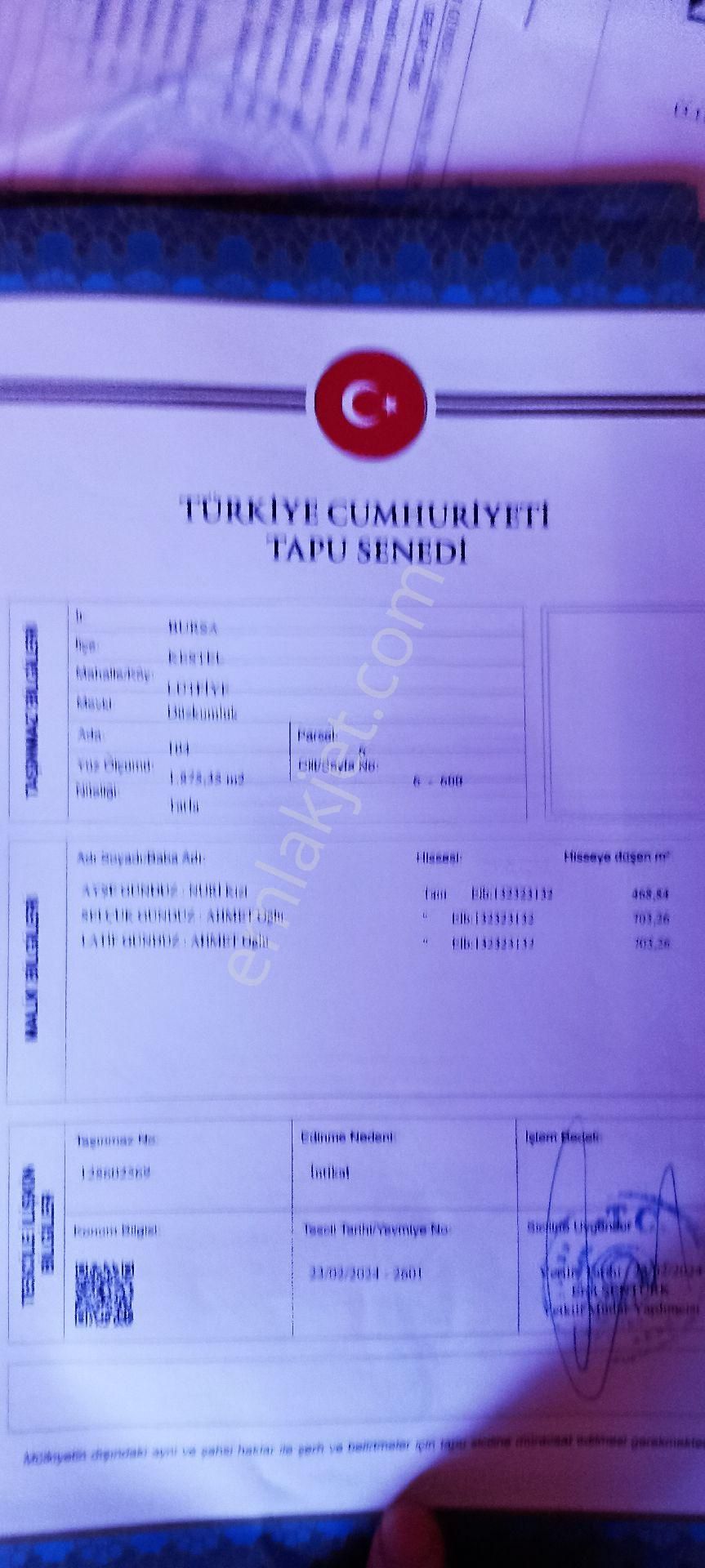 Kestel Lütfiye Satılık Tarla Kestel Lütfiye Köyü Satılık Bahçe