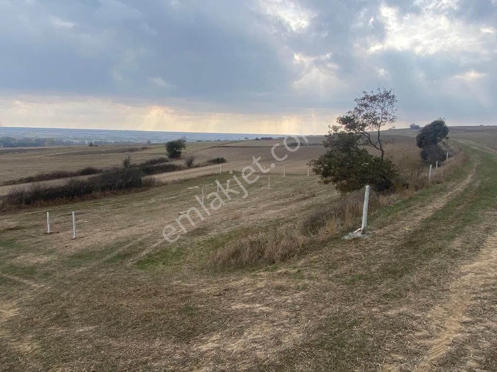 Saray Çukuryurt Satılık Tarla Saray Çukuryurt Köye Yakın Arsa