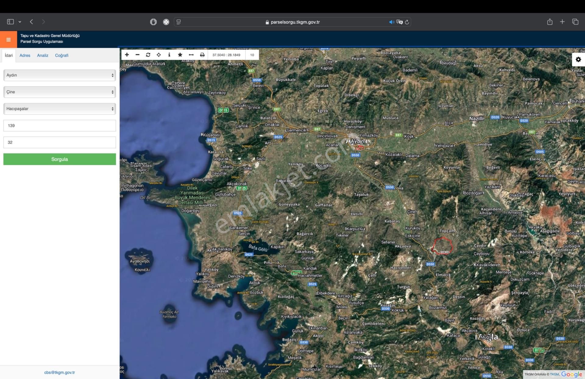 Çine Hacıpaşalar Satılık Zeytinlik Aydın Çine'de Zeytinlik Araç Takaslı Fiyat 1.000.000