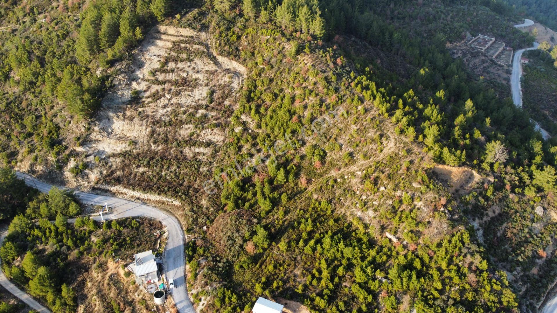 Alanya Üzümlü Satılık Tarla Alanya Üzümlü'de Satılık 5092m2 Baraj Manzaralı Tarla