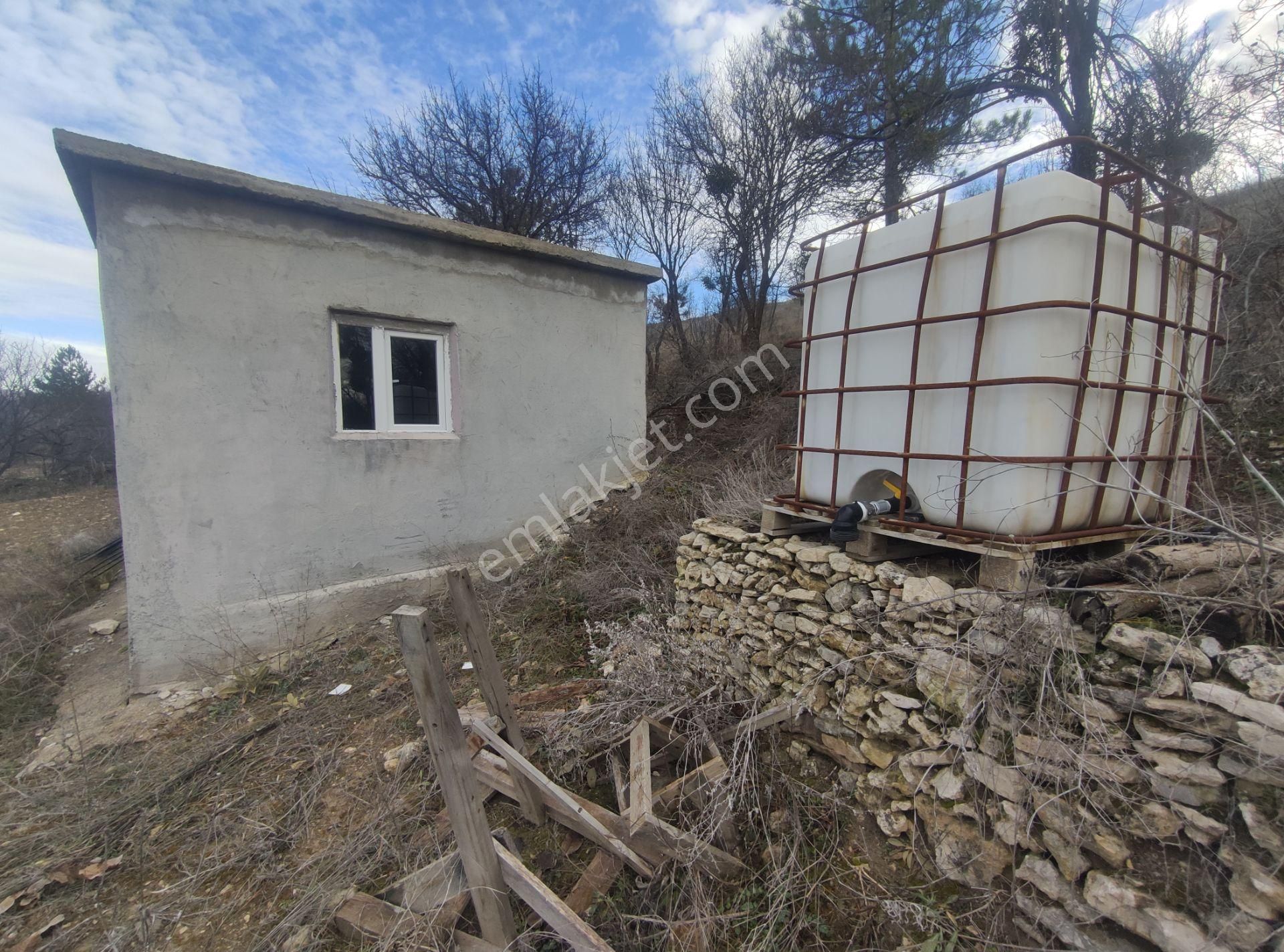 Özpınar,dan Çavuş Köyü Konya Yolu Üzeri Satılık Ceviz Tarlası 3052 M2 Evli.! - Görsel 4