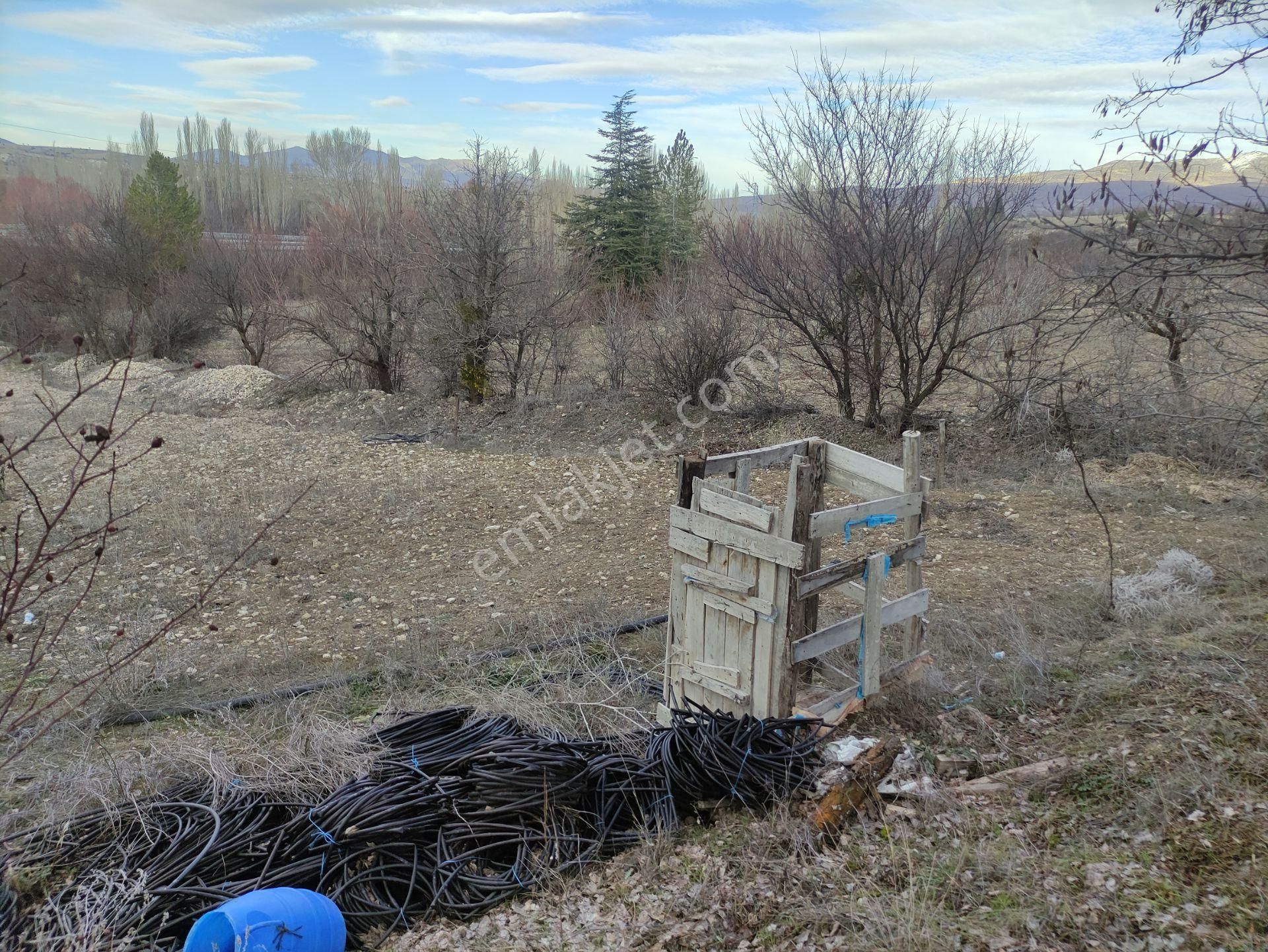 Özpınar,dan Çavuş Köyü Konya Yolu Üzeri Satılık Ceviz Tarlası 3052 M2 Evli.! - Görsel 2