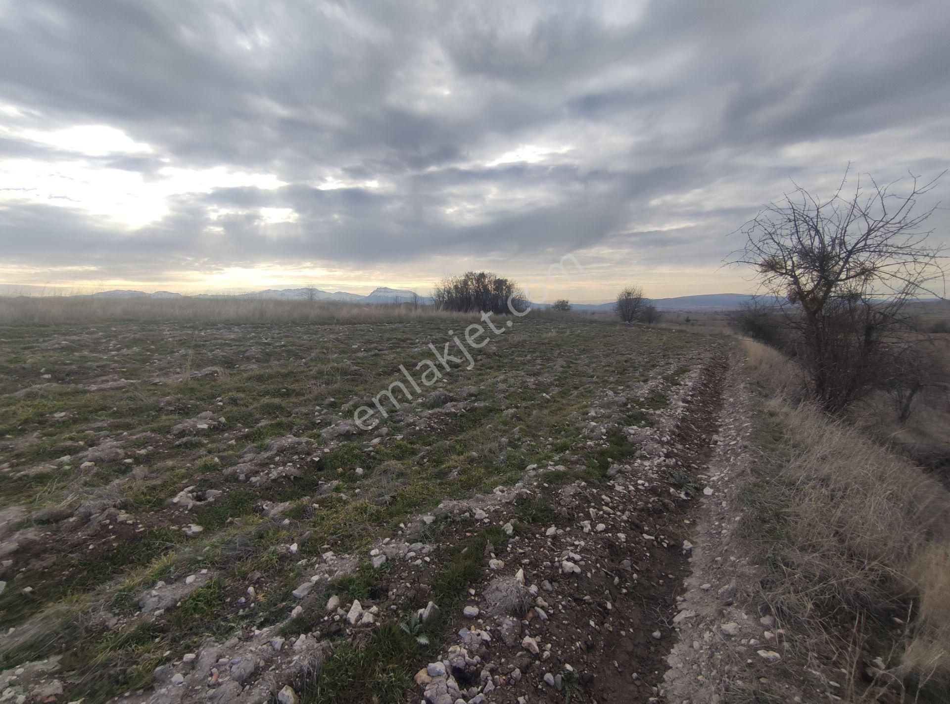 Özpınar,dan Çavuş Köyü Konya Yolu Üzeri Satılık Ceviz Tarlası 3052 M2 Evli.! - Görsel 27