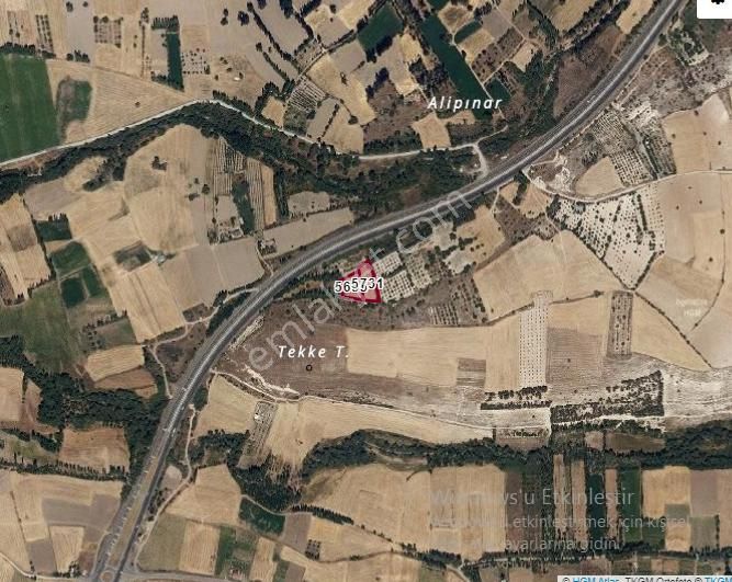 Özpınar,dan Çavuş Köyü Konya Yolu Üzeri Satılık Ceviz Tarlası 3052 M2 Evli.! - Görsel 14