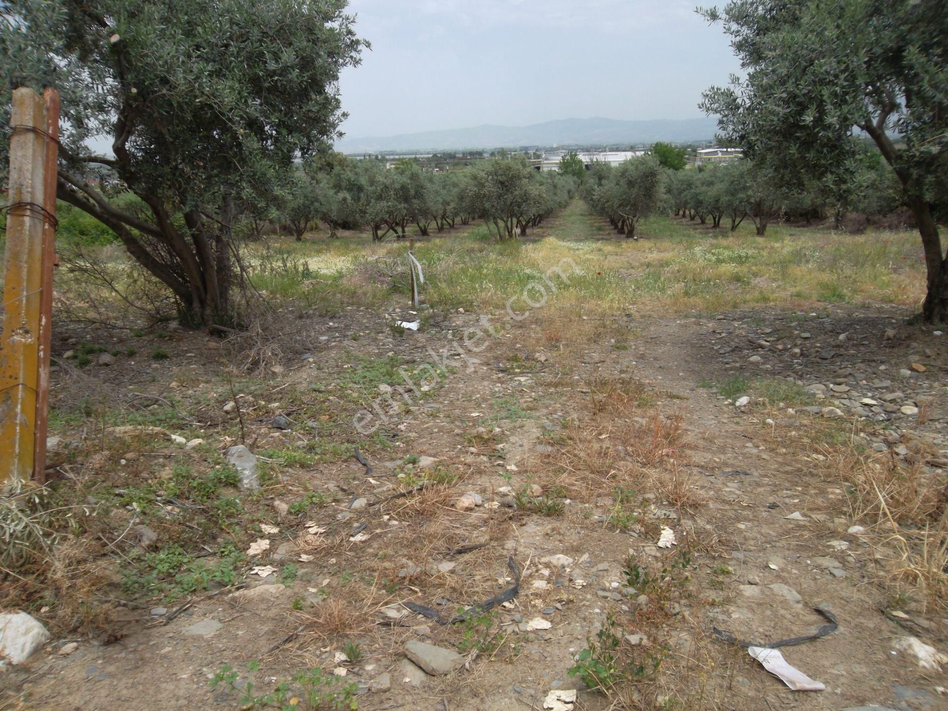 Manisa Salihli Gülnar Sitesi Civarında 4 Kata İmarlı Satılık Arsa