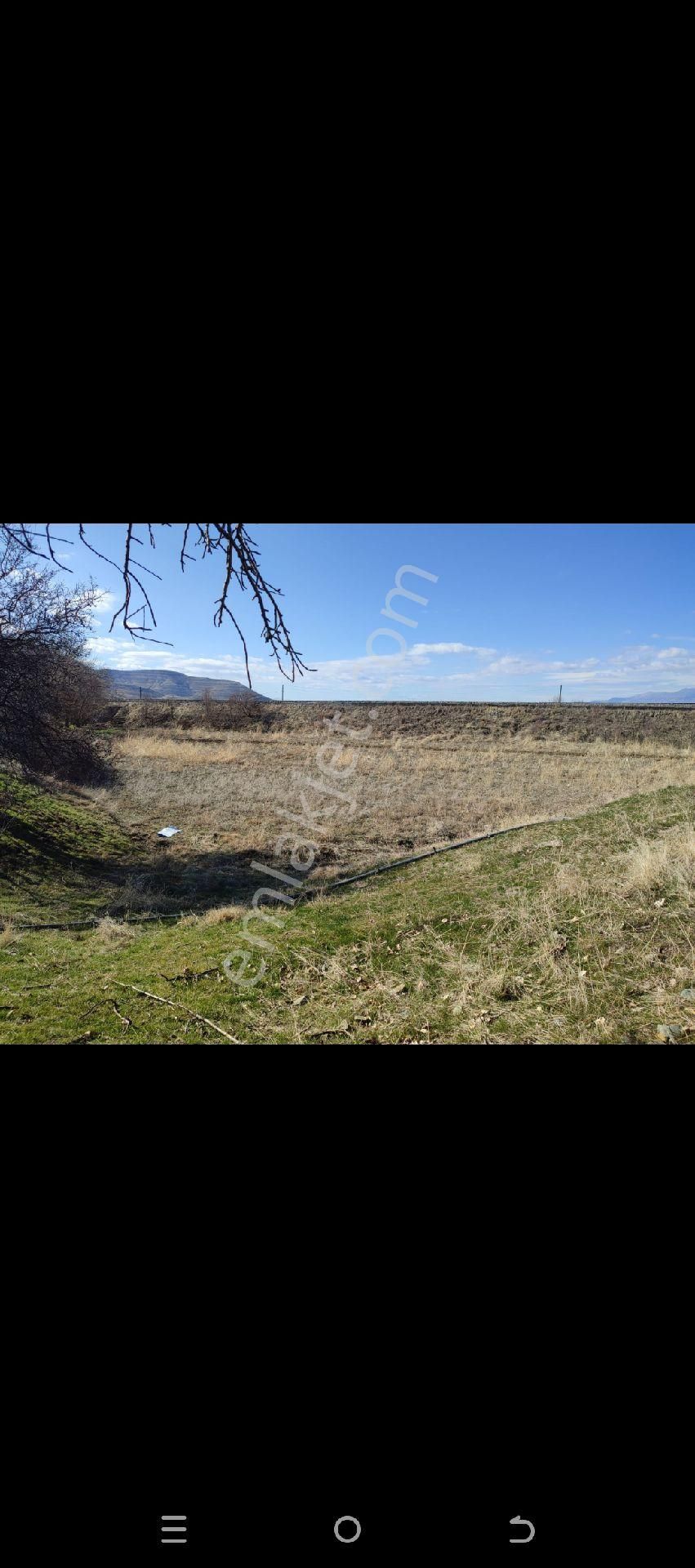 Elazığ Merkez Şeyhhacı Köyü (Yukarı Bağ) Satılık Tarla Yukarı Bağlar Şeyhhacı Mevkinde Satılık Kupon Tarla Bingöl Yoluna 500 Metre