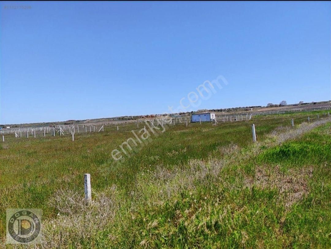 Acil Satılık 300 Metre İmarlı İfrazlı Tarla Değil Kelepir Arsa - Görsel 25