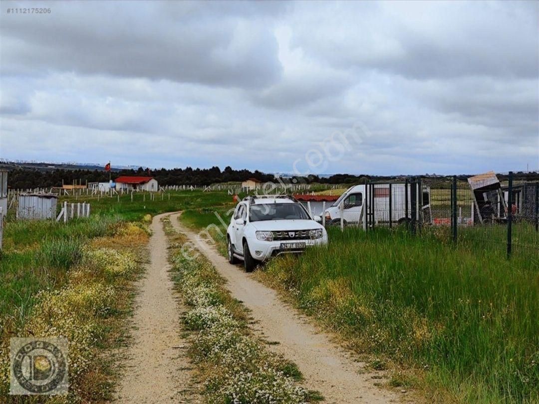 Acil Satılık 300 Metre İmarlı İfrazlı Tarla Değil Kelepir Arsa - Görsel 11