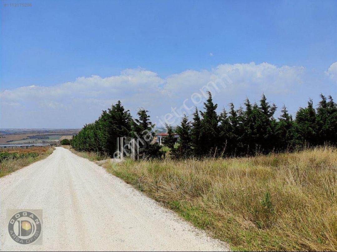 Acil Satılık 300 Metre İmarlı İfrazlı Tarla Değil Kelepir Arsa - Görsel 21