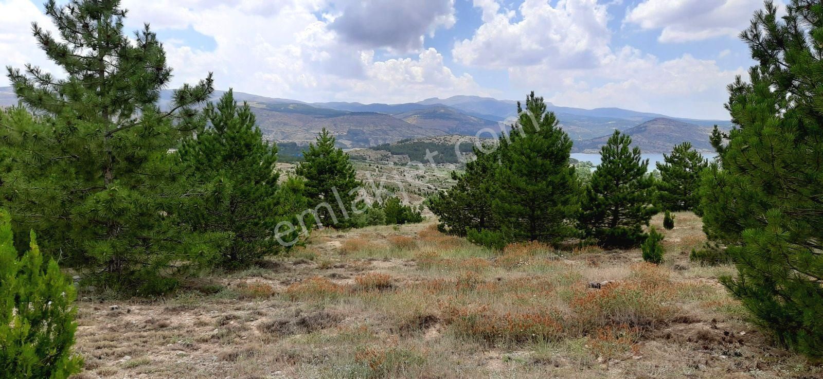 Selçuklu Sulutas Satılık Tarla Sulutas Harika Baraj Manzaralı Müstakil Parsel