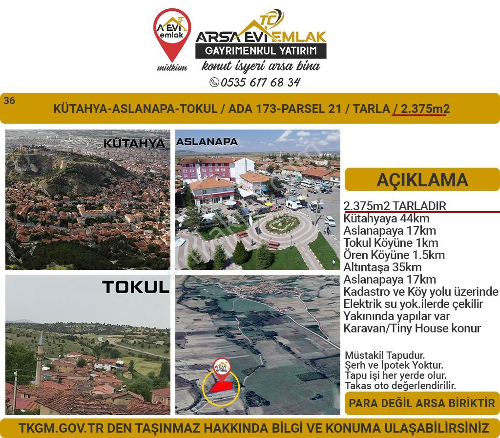 Aslanapa Tokul Köyü Satılık Tarla Kütahya-aslanapa-tokul-satılık-2375m2tarla