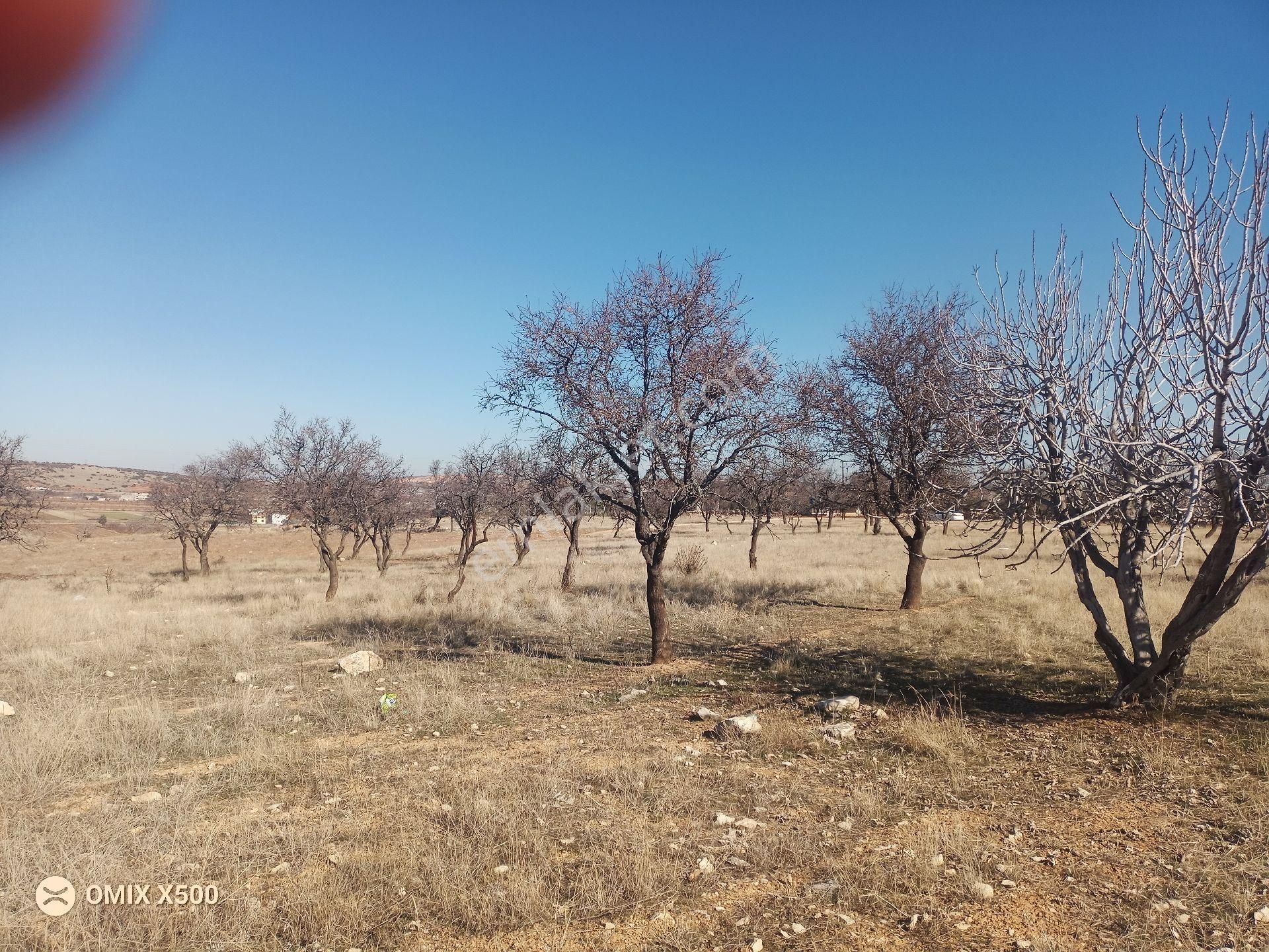 Şehitkamil Aktoprak Satılık Arazi İmara Yakın Yatırımlık Ve Kullanımlık Arazi