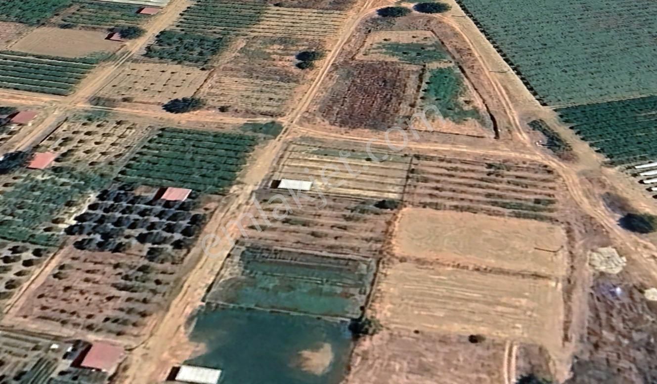 Sarıgöl Çanakçı Satılık Konut İmarlı Manisa Sarıgöl Çanakçı Köyünde Köy İçi İmara Açık Satılık Arsa