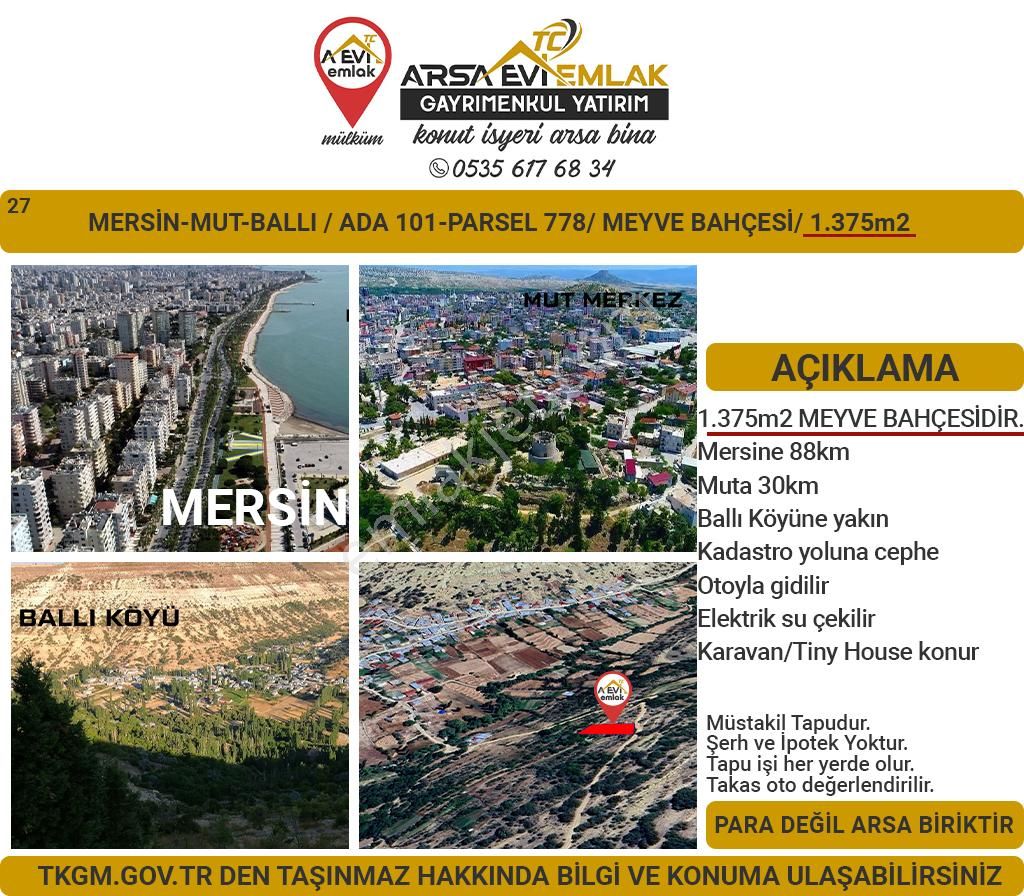 Mut Ballı Satılık Bağ & Bahçe Mersin Mut Ballı Satılık 1375m2 Meyve Bahçesi