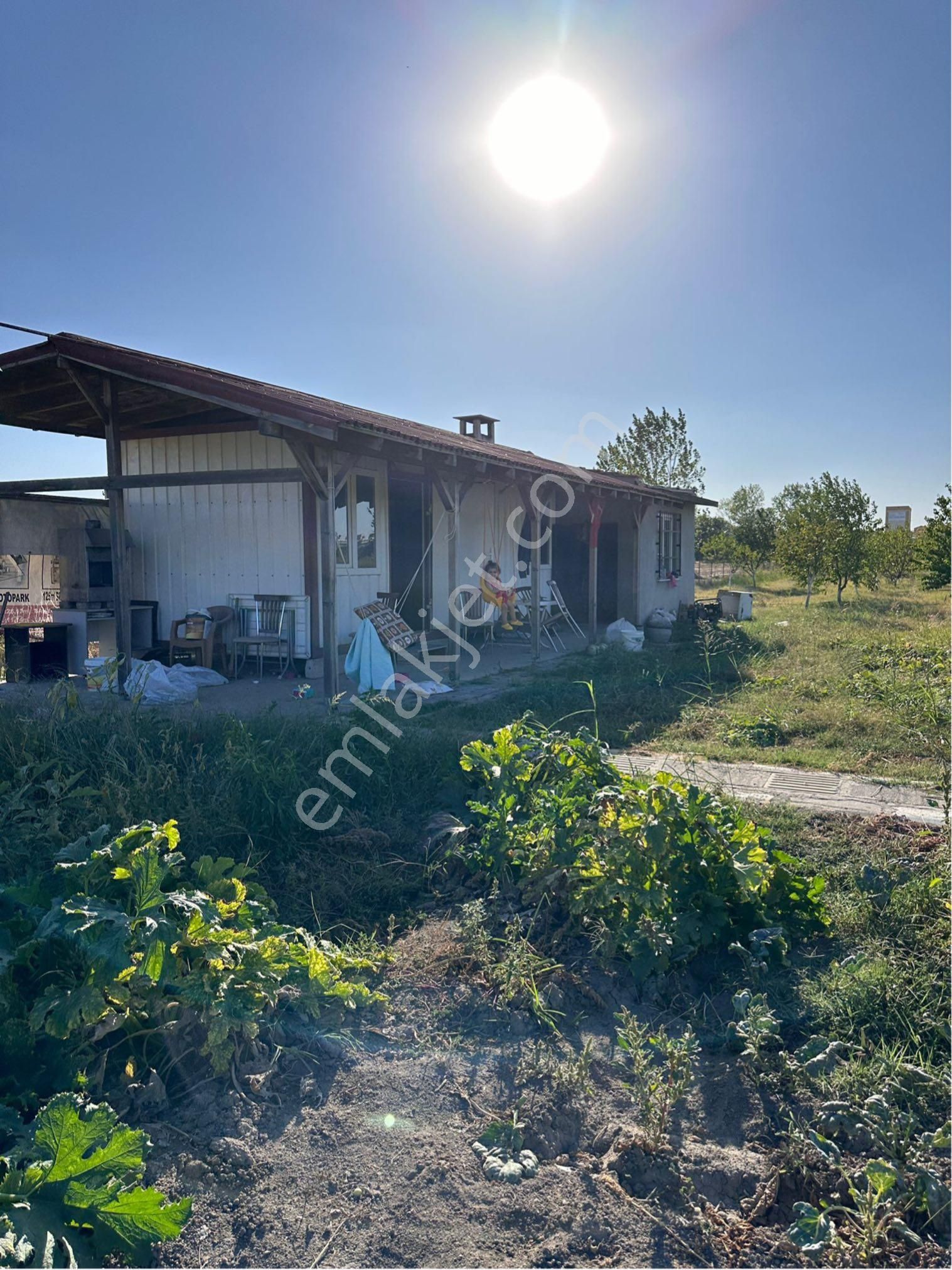 Edirne Merkez Sazlıdere Köyü Satılık Bağ & Bahçe Edirne Sazlıedere Tayakadın Köyü Arası Satılık Meyve Bahçesi