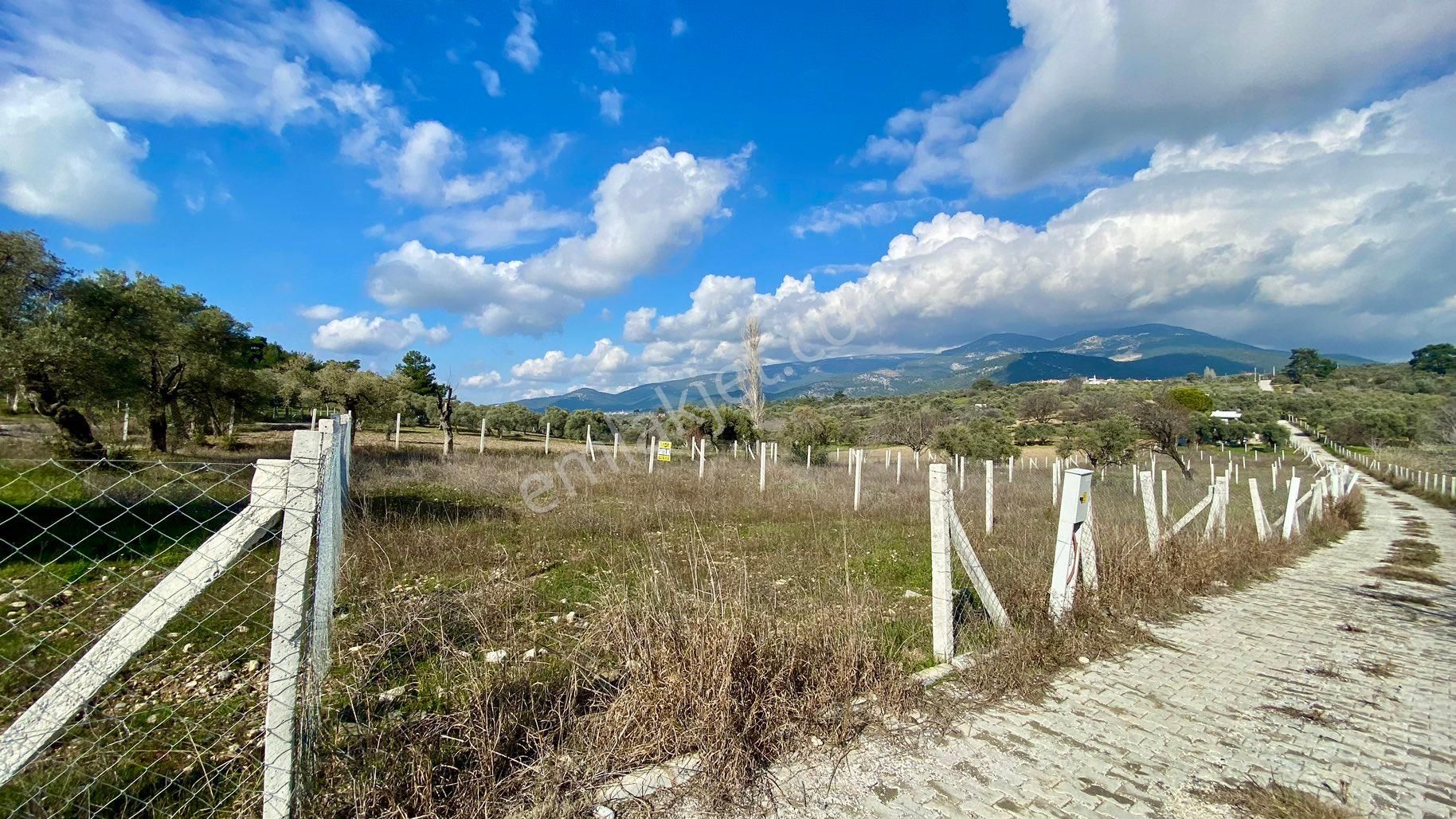 Buca Doğancılar Satılık Arazi Buca Doğancılar Köyünde 325 M2 Arsa Elektrik Sulu