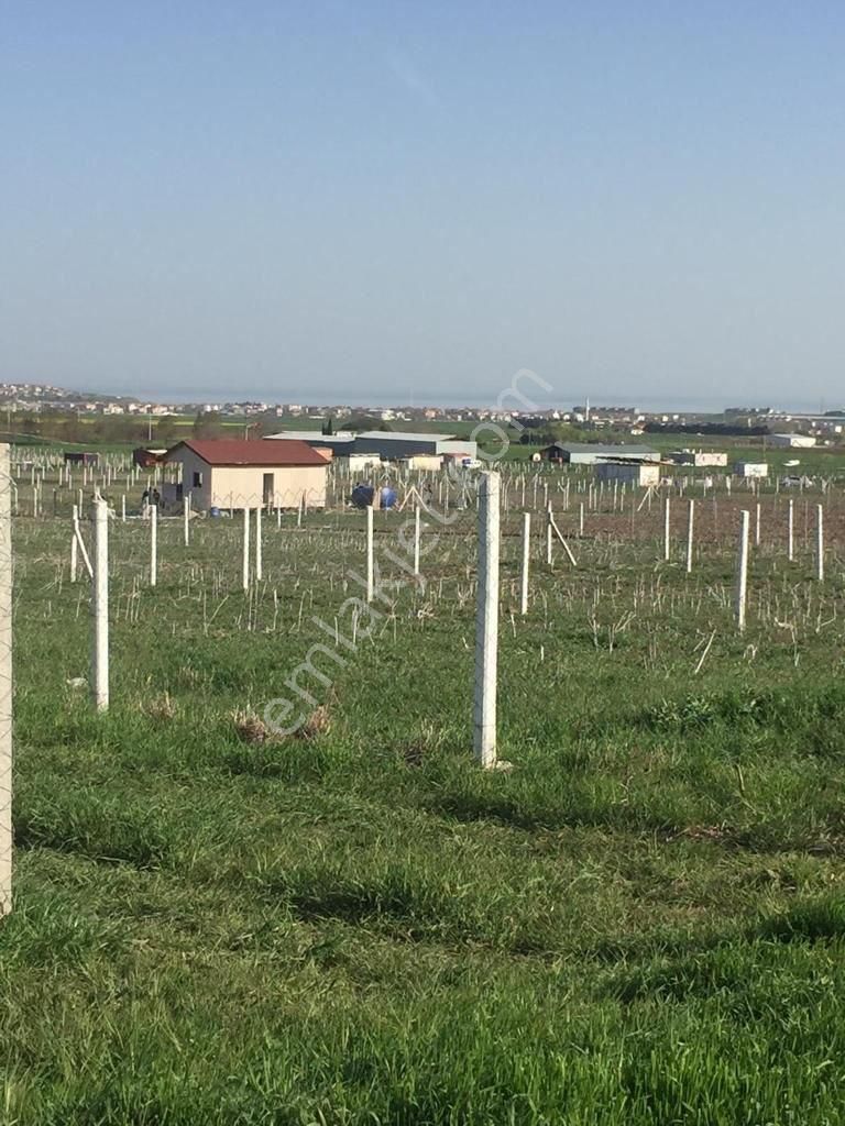 Marmaraereğlisi Çeşmeli Satılık Villa İmarlı Yola Cehpe Sahibinden Arsa