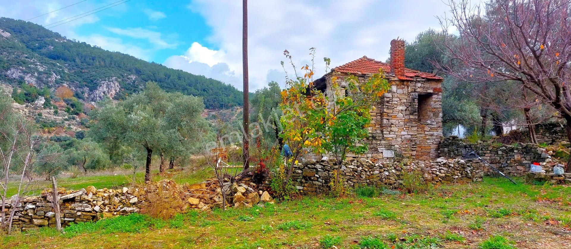 Milas Karacaağaç Satılık Konut İmarlı Milas Karacaağaç'ta Köyiçin'de İmarlı Kargır Ev Ve Arsa