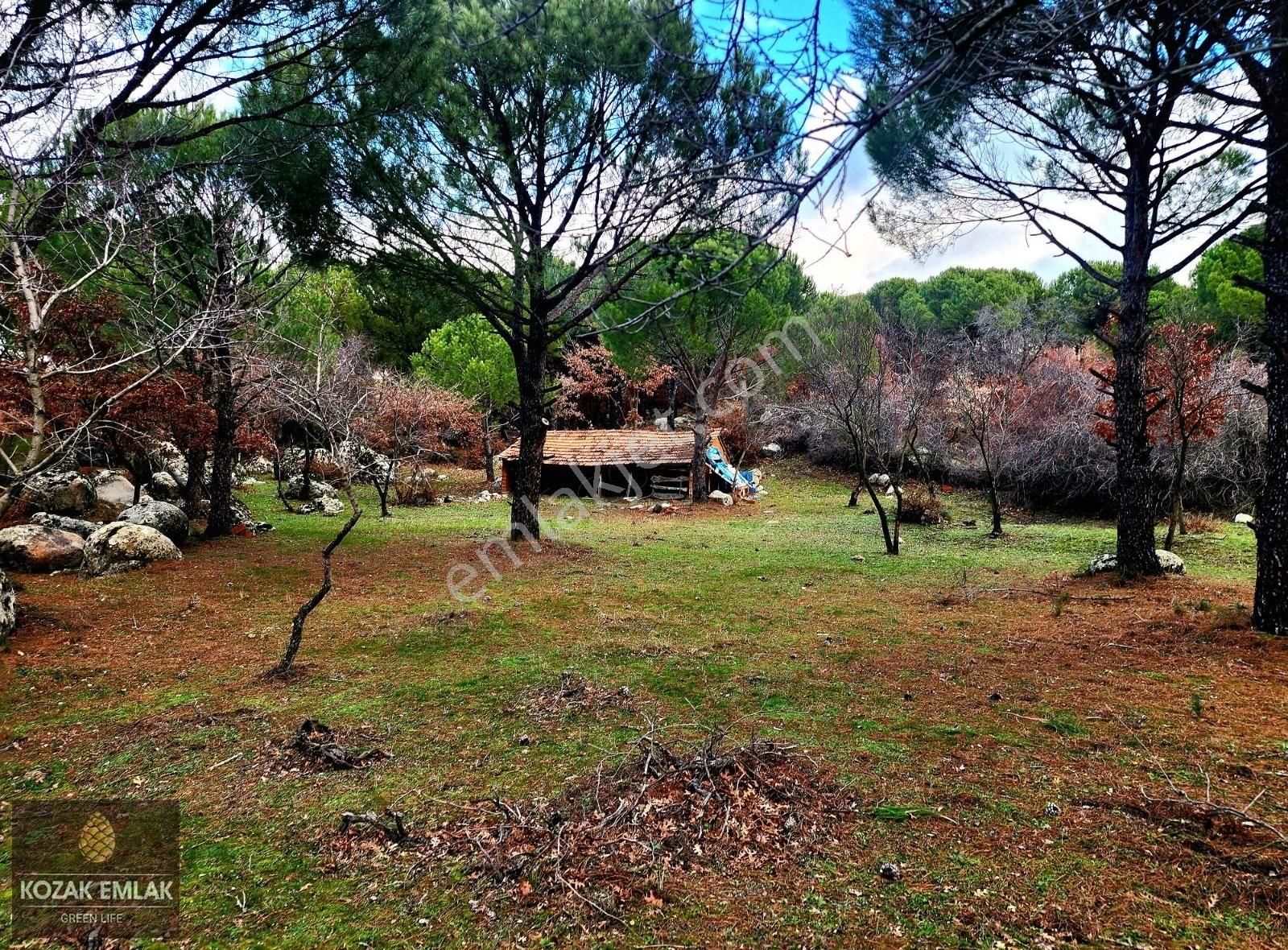 Bergama Kıranlı Satılık Bağ & Bahçe Bergama Kıranlı Bahçe Köy Sınırında Satılık