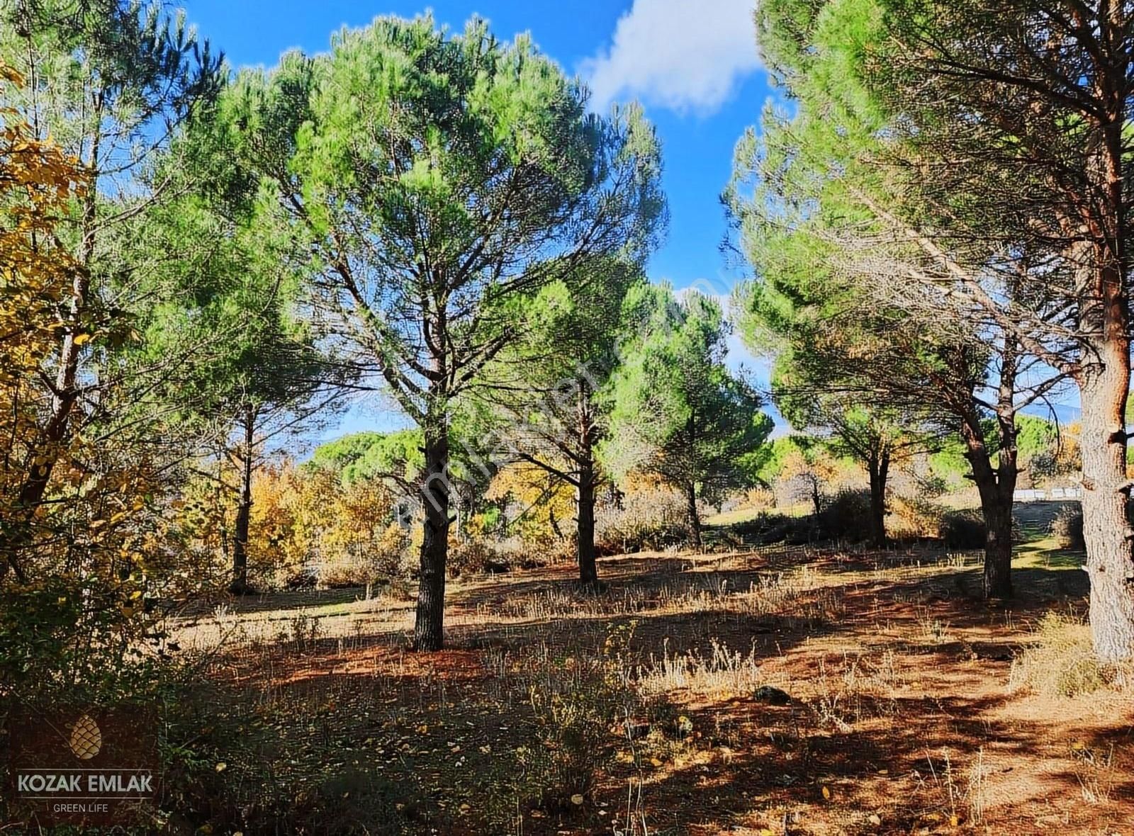 Begama Yukarıbey Bağ Ve Bahçe Satılık - Görsel 11
