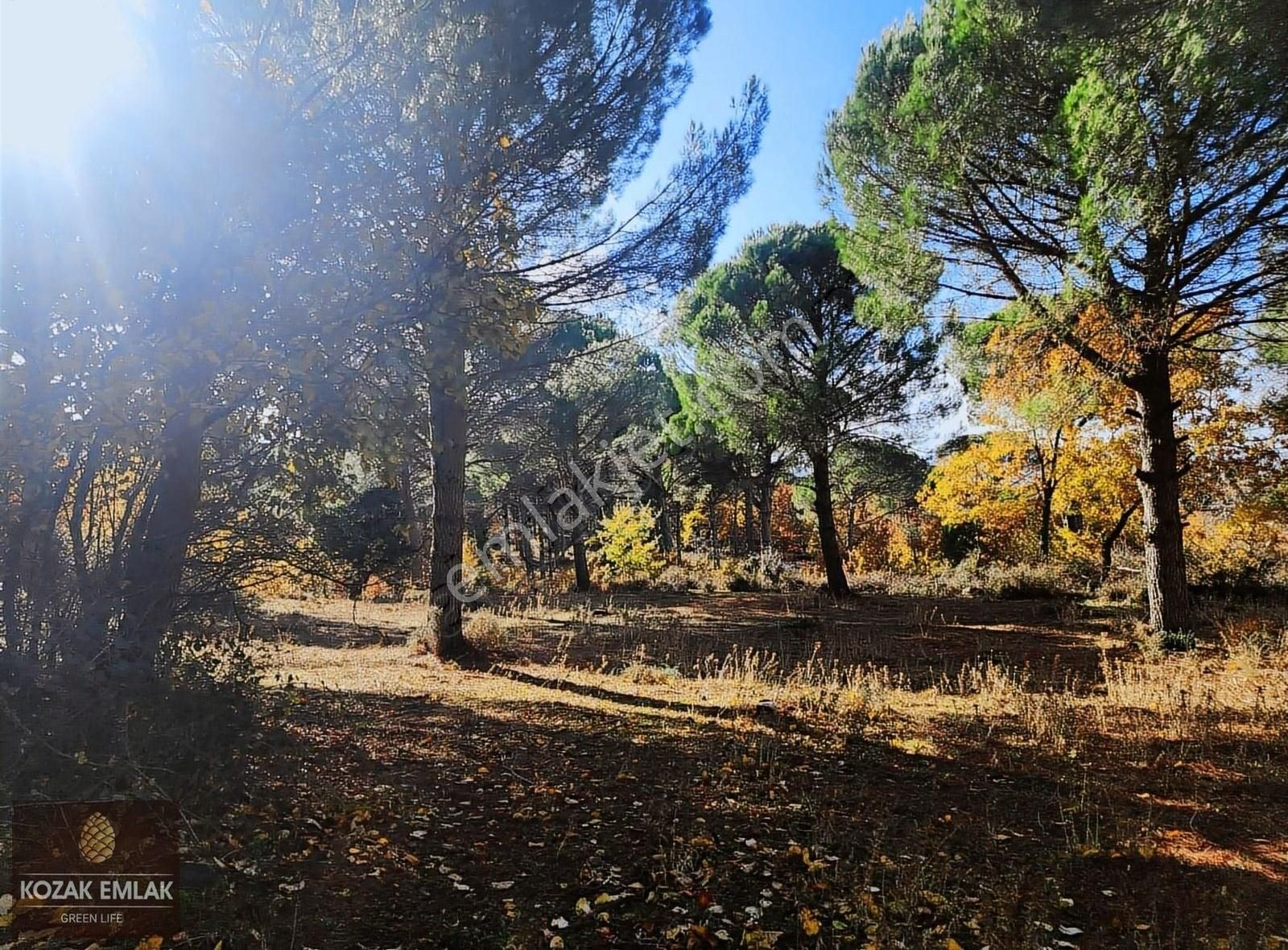 Begama Yukarıbey Bağ Ve Bahçe Satılık - Görsel 22