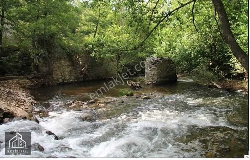 Demirköy Armutveren Köyü Satılık Tarla Sg Gayrimenkulden Demirköyde Yolu Olan Satılık 7.316m2 Arazi