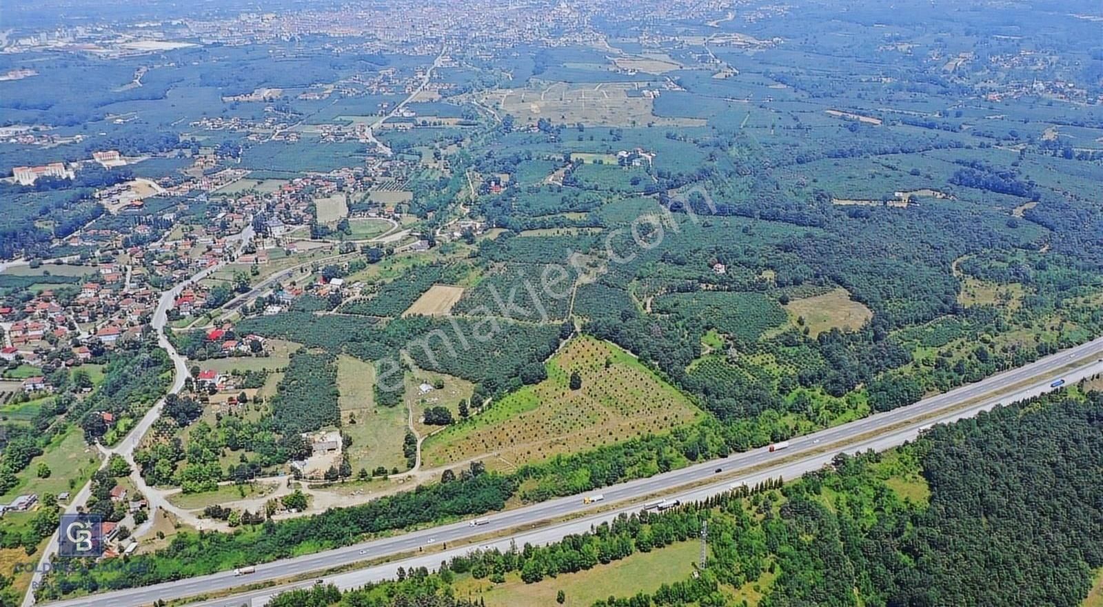 Hendek Çağlayan Satılık Sanayi İmarlı Sakarya Hendek'te Sanayi İmarlı Satılık Arsa