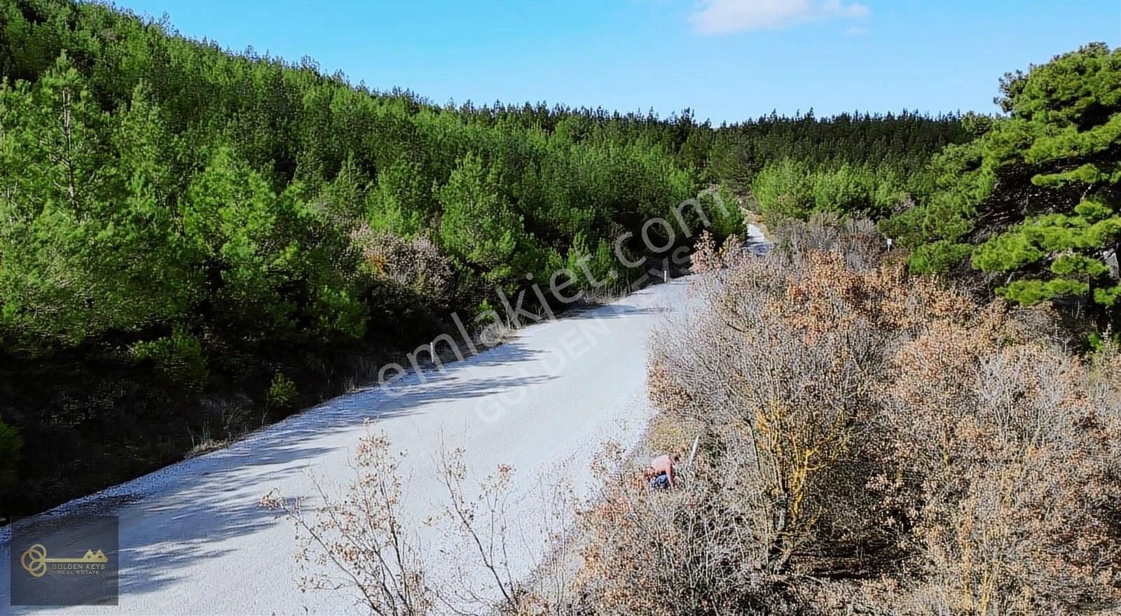 Bergama Koyuneli Satılık Tarla İzmir Bergama Koyuneli Mahallesinde Satılık Tarla