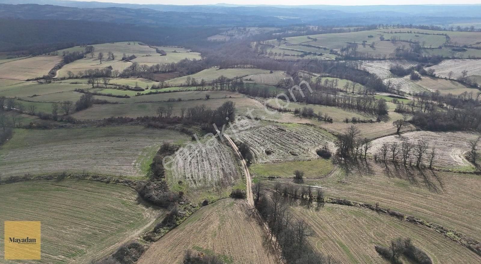 Kofçaz Tatlıpınar Köyü Satılık Tarla Mayadan Kofçaz Tatlıpınar'da 10.931m2 Satılık Arazi