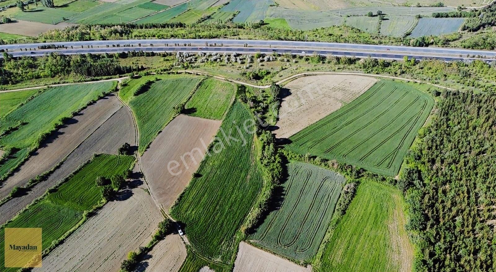 Babaeski Taşağıl Köyü Satılık Tarla Mayadan Babaeski Taşağıl Yolu Olan 7.468m2 Satılık Arazi