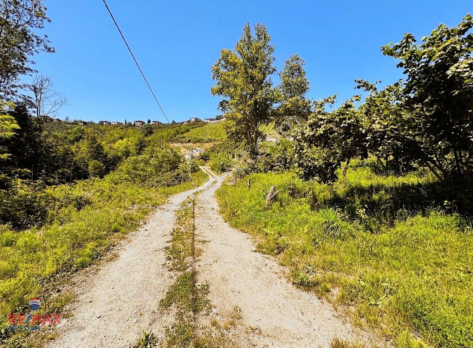 Ortahisar Gözalan Satılık Tarla Gözalan Mahallesinde, Tamemen Düz, Resmi Yola Cepheli, 1682m2