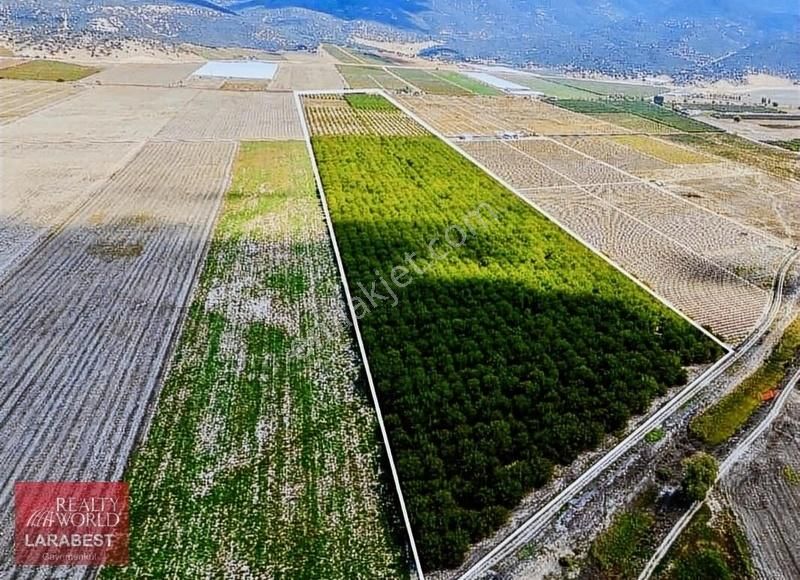 Elmalı Bayralar Satılık Bağ & Bahçe Antalya Elmalı'da Tam Donanımlı Satılık Büyük Ceviz Çiftliği