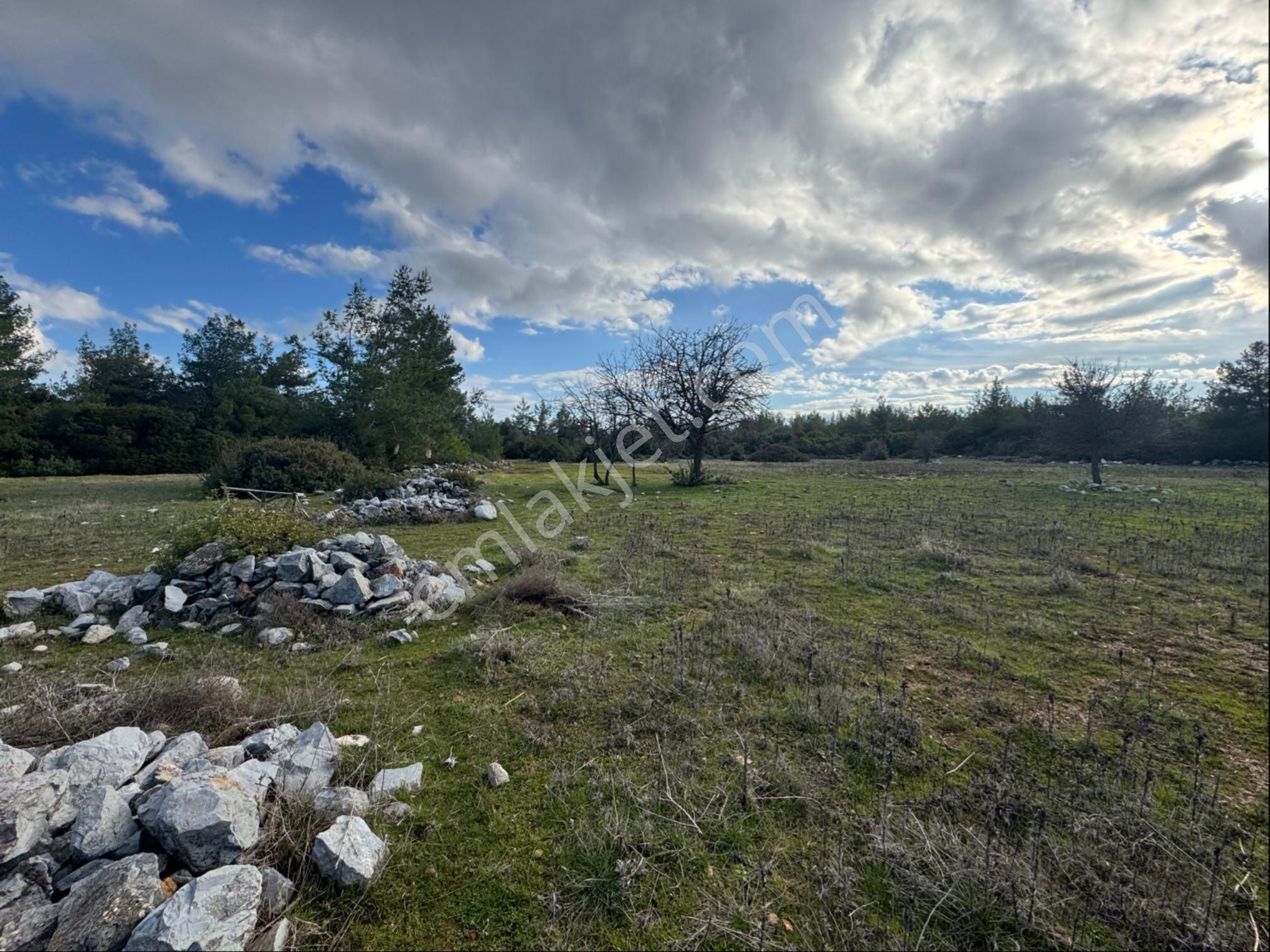 Bodrum Mazı Köyünde Yolu Olan Satılık Tarla - Görsel 7