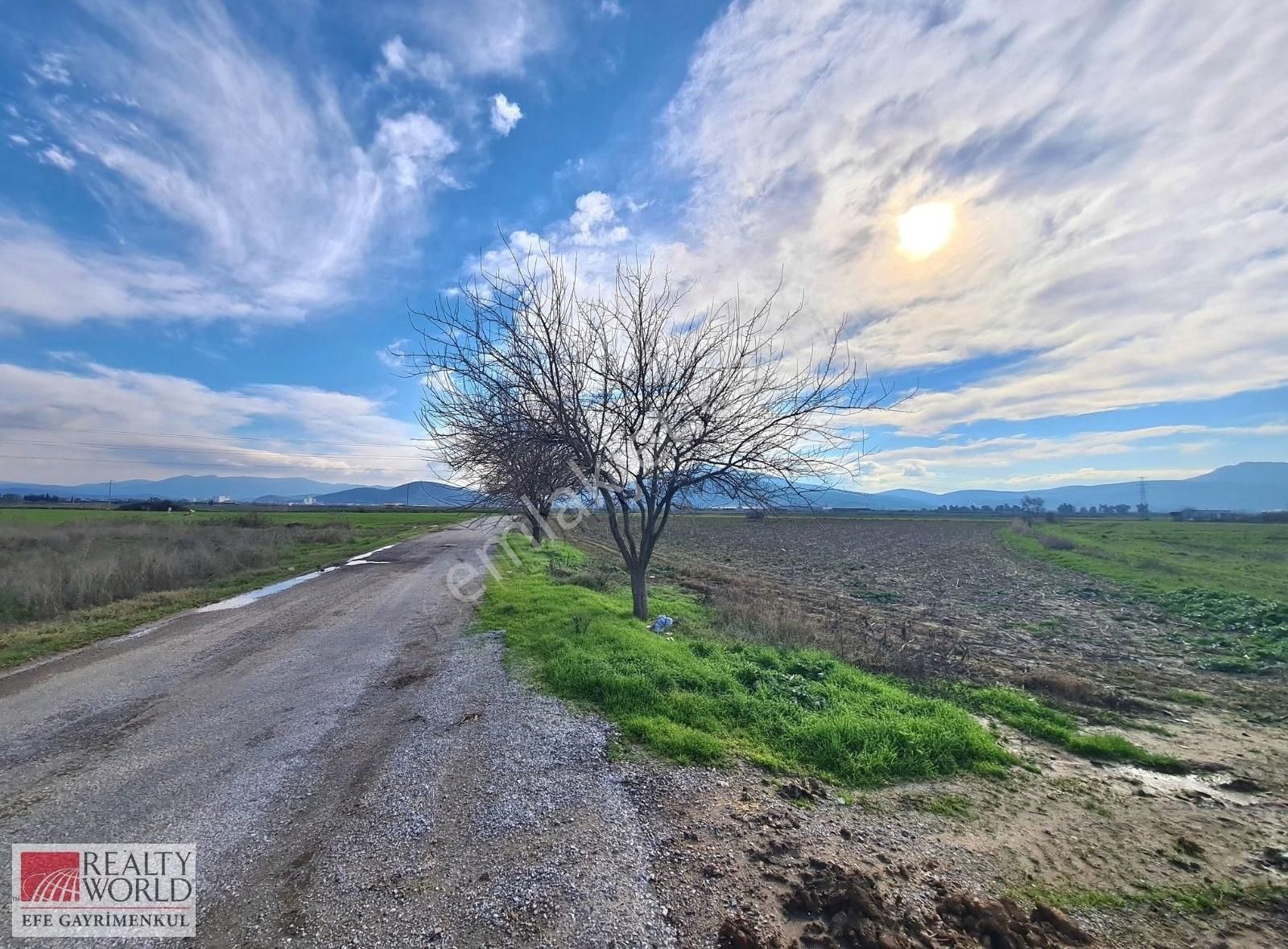 Torbalı Çaybaşı Satılık Tarla Torbalı / Çaybaşı Mh Satılık 5600m2 Arazi