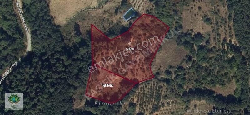 Pasifikten Bayındır Sarıyurtta 13.023 M² Suyu Olan Kiraz Bahçesi - Görsel 9