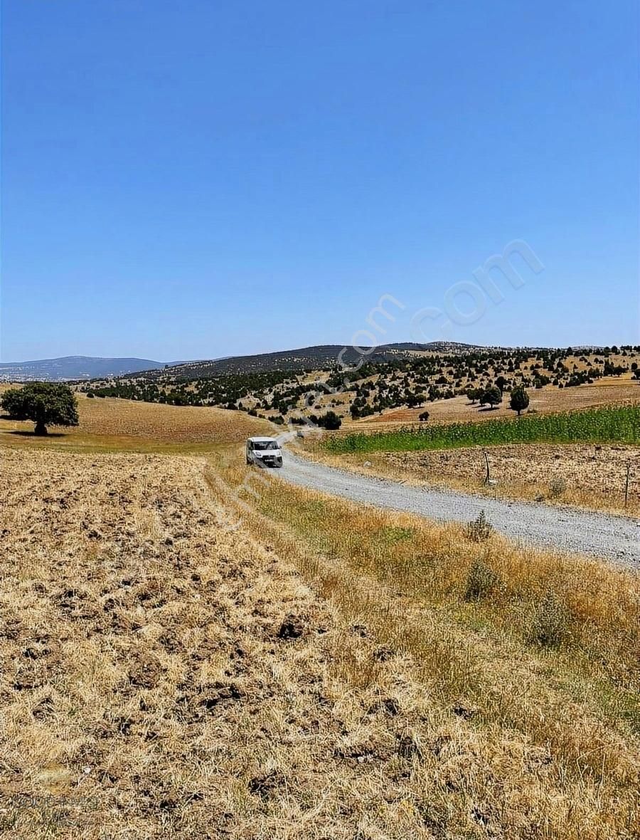 Kütahya Merkez Karacaören Köyü Satılık Tarla Kütahya Merkez Zafer Osb Ye Yakın Yola Cephe Satılık Tarla