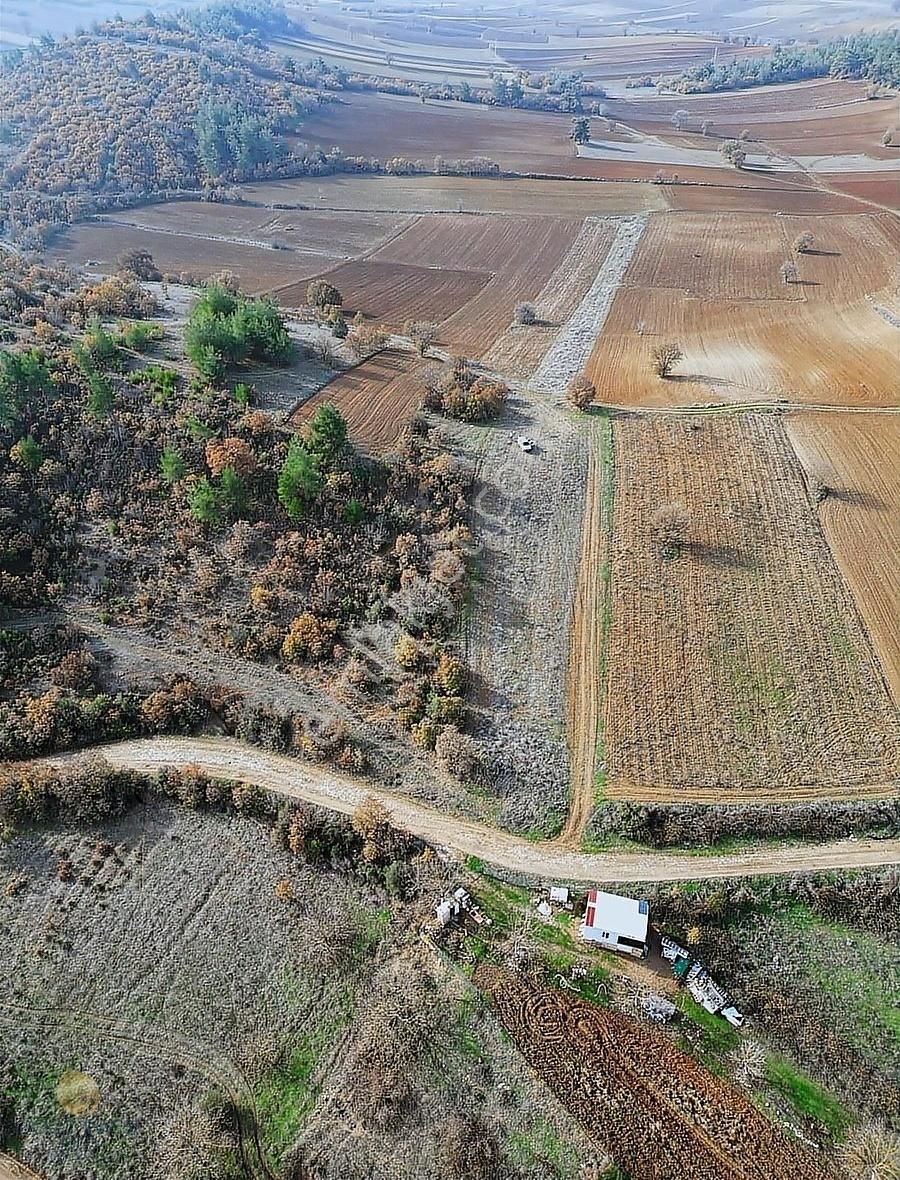 Yenişehir Günece Satılık Tarla Yenişehir Günece Yola Cephe Satılık 7.300 M² Tarla