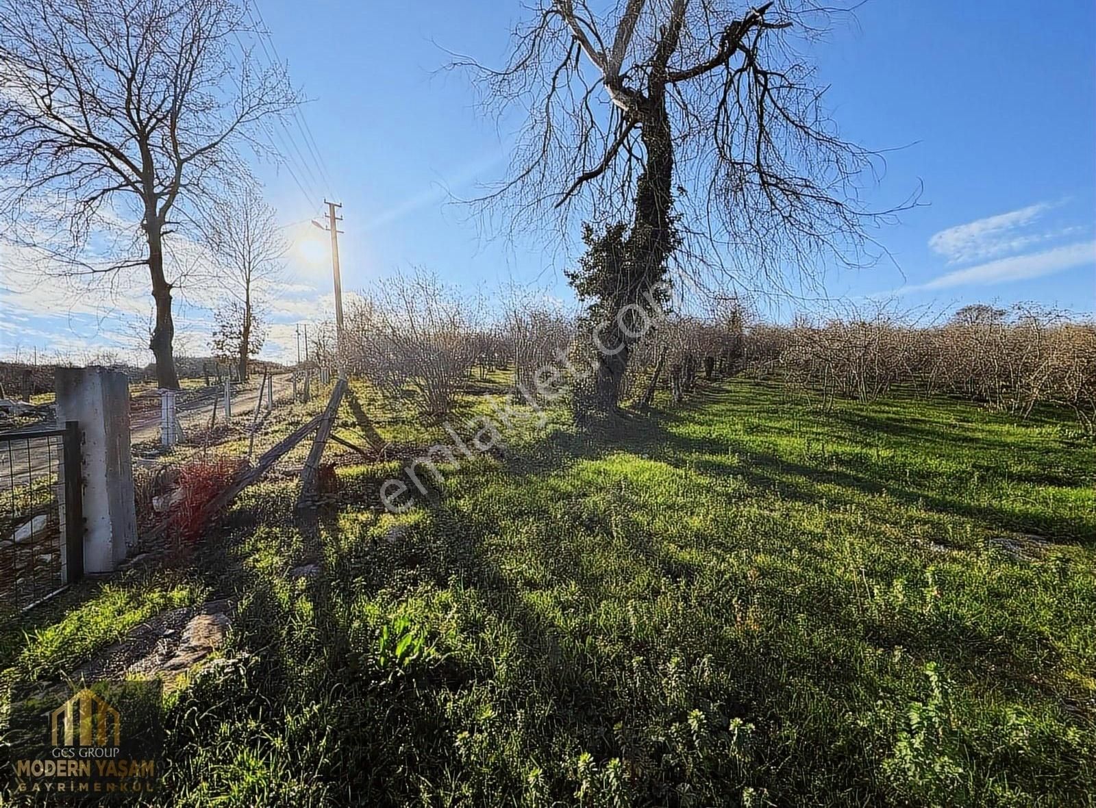 Kocaali Karşı Satılık Tarla Sakarya Kocaali Karşımh. 15.130 M²deniz Manzaralı Fındık Bahçesi